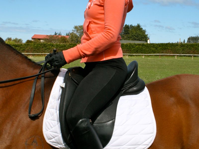 Neutral Posture while seated in the saddle