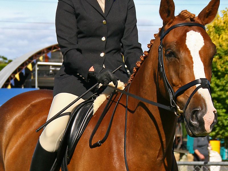 Pilates for the Equestrian Instructor; Laura Dawson & Glenardon Daybreak 